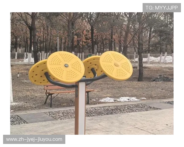 老人用的健身器材：推荐适合老年人的健身器材及使用注意事项